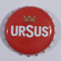 Ursus